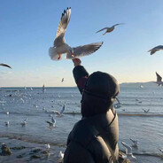 我向清风索明月