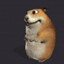 Real Chomik