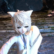 海风掠过北极光