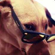 一句尼玛闯华夏