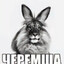 ЧЕРЕМША