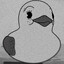 -Duck-