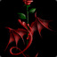 Black Rose