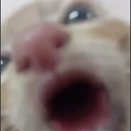 ☆ Рªй ☆
