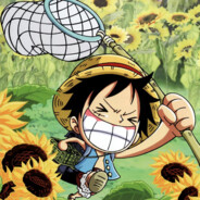 你看见我的萤火虫了吗