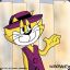 Don gato