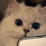 狠起来自己豆沙