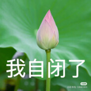 谁才是我的乖狗狗