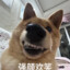 总会有遗憾