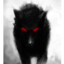 darkwolf