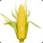 Corn