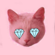 泽老师的小迷妹