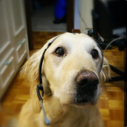 Dimitris G. Kiriakou 's avatar