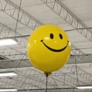 哥哥下蛋你别吃