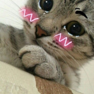 † Bless You †
