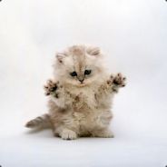 Ossi - steam id 76561197961346666