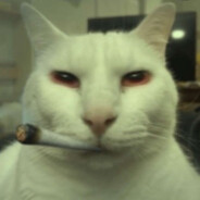 DONMARISCO666