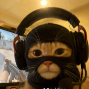 sasugrasu avatar