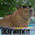 CAPYBARA