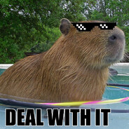CAPYBARA