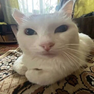 Аватар ็