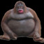 Le Monke