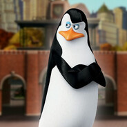 Kowalski - steam id 76561199525194422