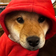 英俊潇洒令狐冲