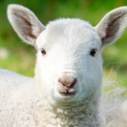 五河县第一突破手