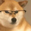 我在守B