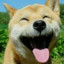 鑫