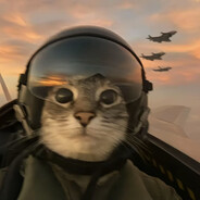 猫儿这个壮志凌云