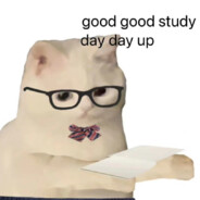 飞机头也会飞吗