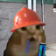 Avatar of player glorp