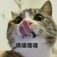 蛋黄是只猫