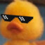 g0ld_duck