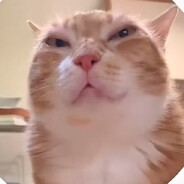 Кошачий анус