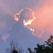 海的那边是波力海苔夹