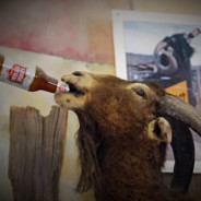GoatBeer