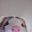 LilRusk