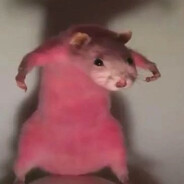 irajkirkaj avatar