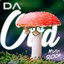 Da&#039;odd mushroom