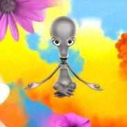 FindBonnieTTV