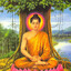 taishirtavanbogd