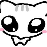 silly cat