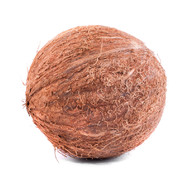 A Coconut