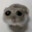 hamster