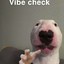 VIBE CHECK WALTER