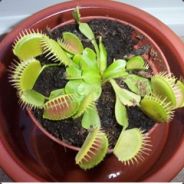 Muiterz - steam id 76561197970304492