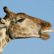^_^Себя по голове^_^